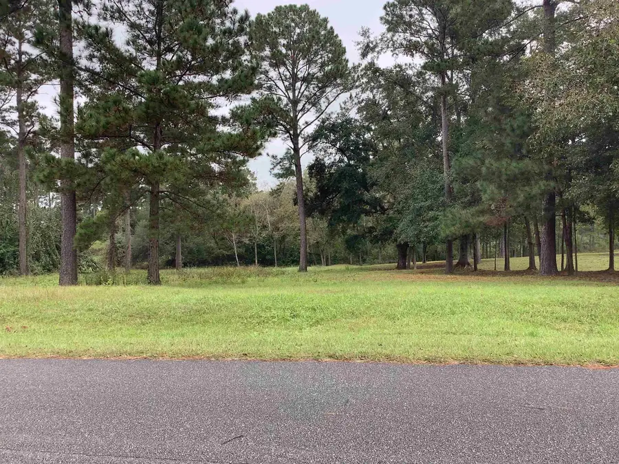 Lot 28 Twin Ponds Drive, Havana, FL 32333 - Image #3