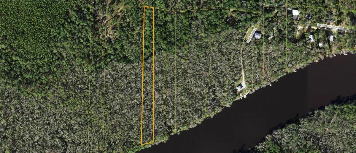 X Pamela Place, Sopchoppy, FL 32358 - Image #1