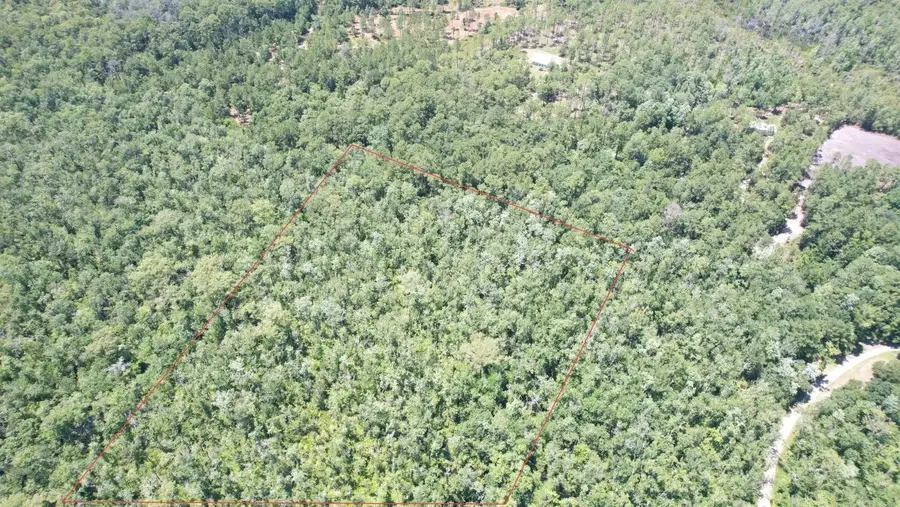 X Pamela Place, Sopchoppy, FL 32358 - Image #3