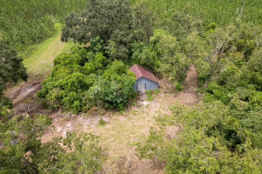 xxx NE Geranium Street, Madison, FL 32340 - Image #2