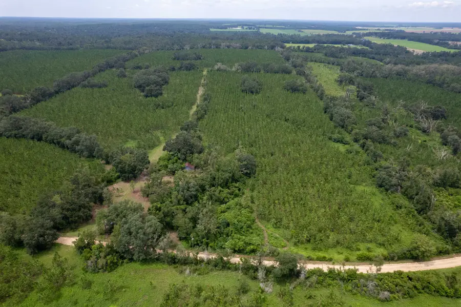 xxx NE Geranium Street, Madison, FL 32340 - Image #3