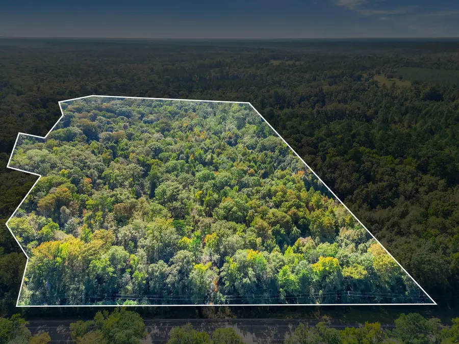 XX Pat Thomas Parkway, Quincy, FL 32351 - Image #2