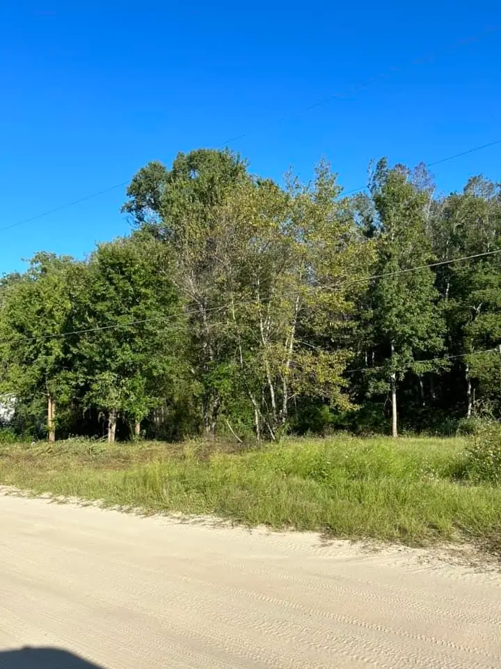 00 Box Wood Lane, Tallahassee, FL 32303 - Image #1