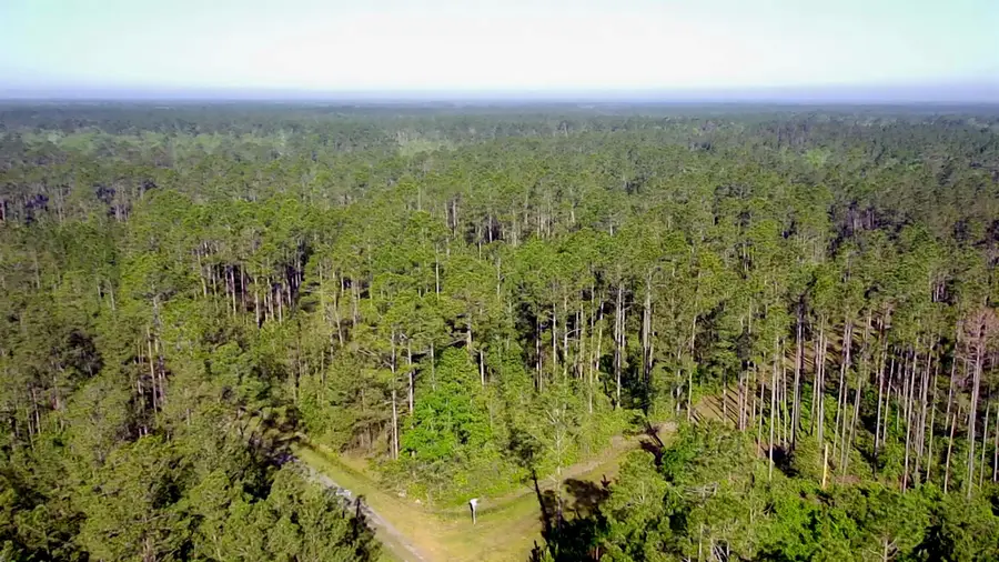 Lot 116 SW Pier Road, Greenville, FL 32331 - Image #2