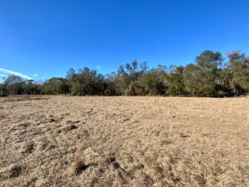 3046 SW Captain Brown Road, Madison, FL 32340 - Image #1