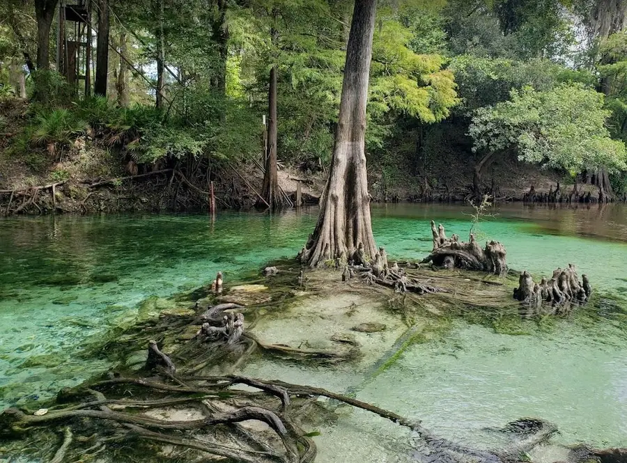 Vacant NE River Ridge Way, Lee, FL 32059 - Image #3