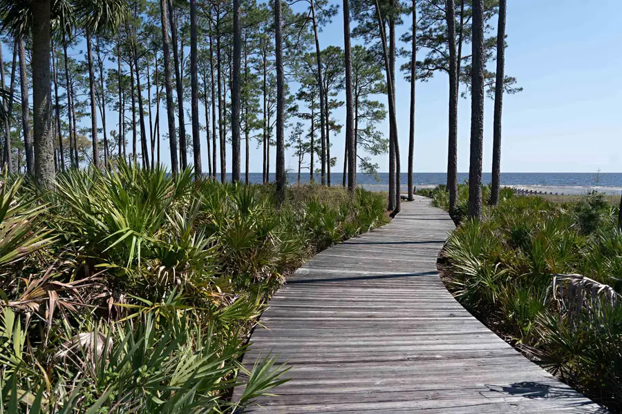 129 Winding Trail Way #Lot 385 - East, Saint Teresa, FL 32358 - Image #3