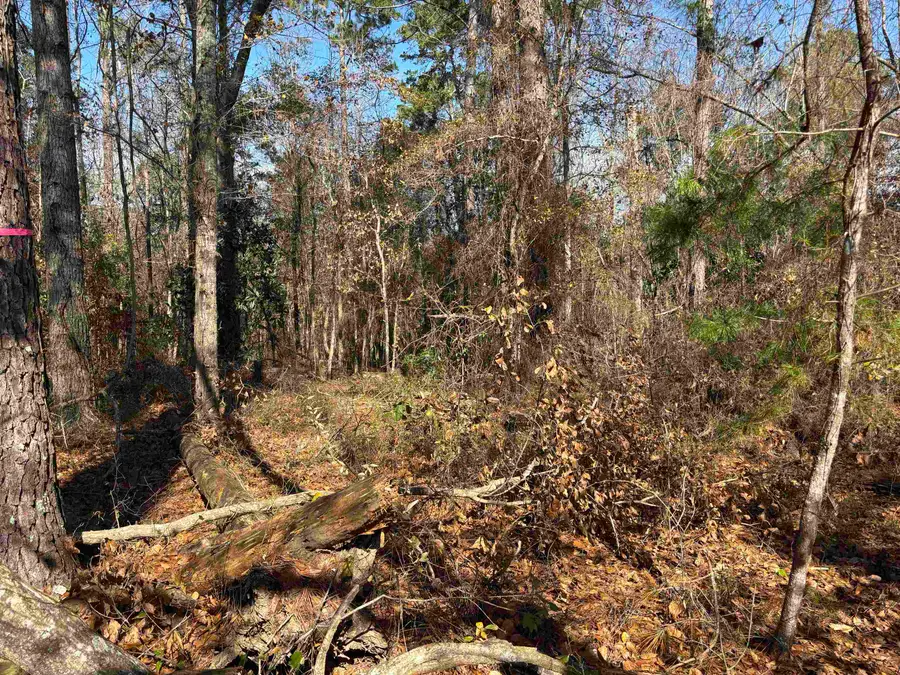 XXXX Red Bird Road, Quincy, FL 32351 - Image #3