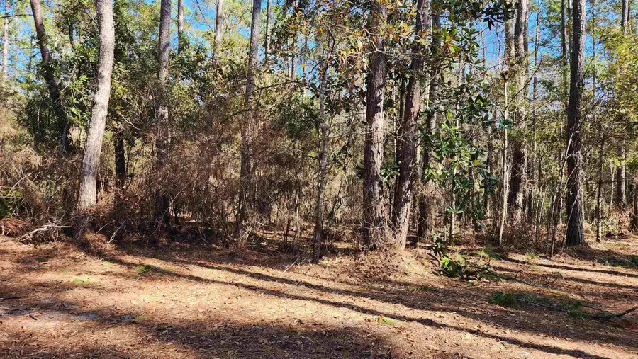 xx Cherokee Drive, Sopchoppy, FL 32358 - Image #3