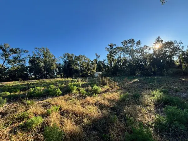 515 NE Willow Bend Terrace, Lee, FL 32059