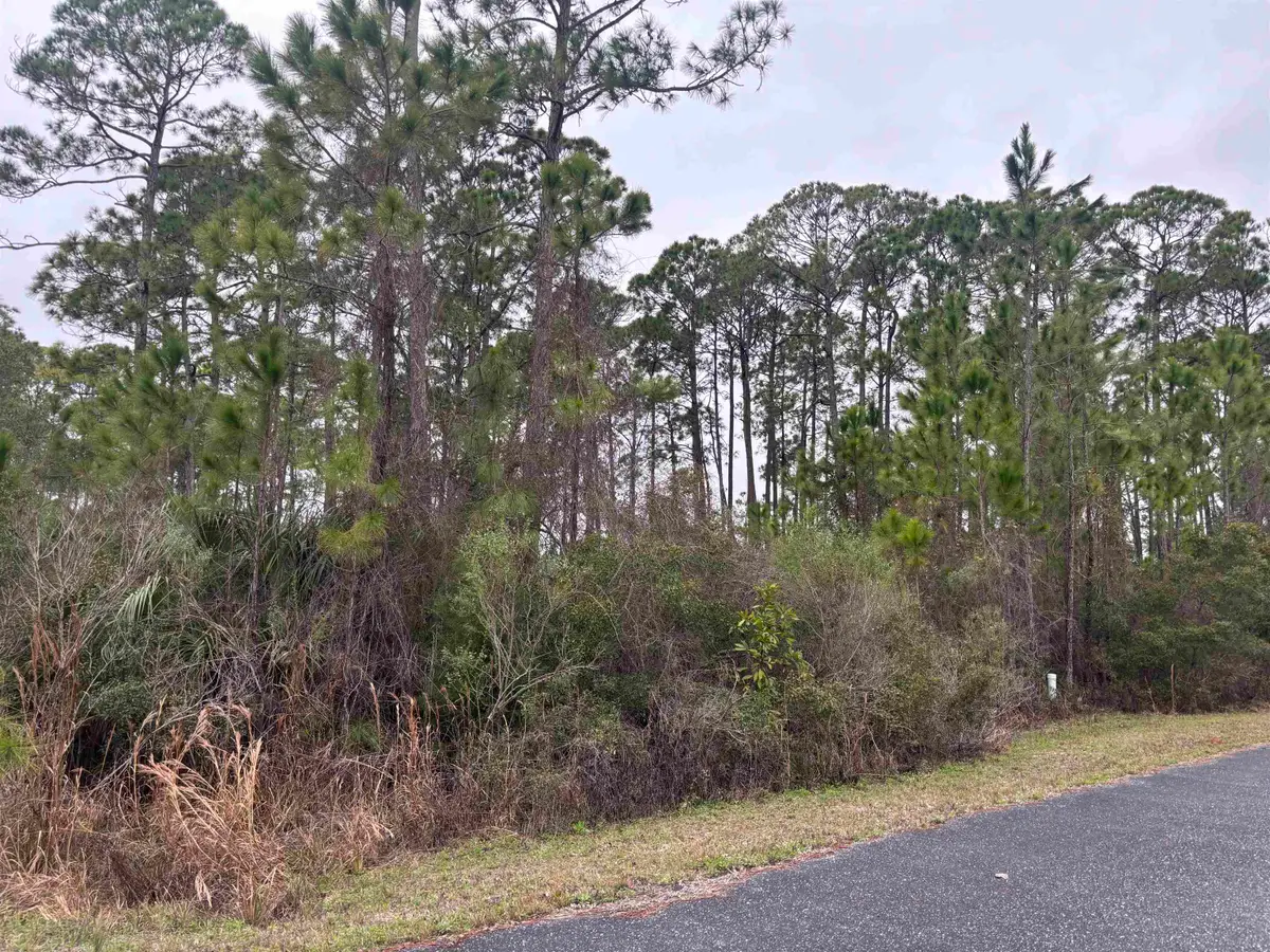 Lot 42 Wilderness Way, Panacea, FL 32346 - Image #1