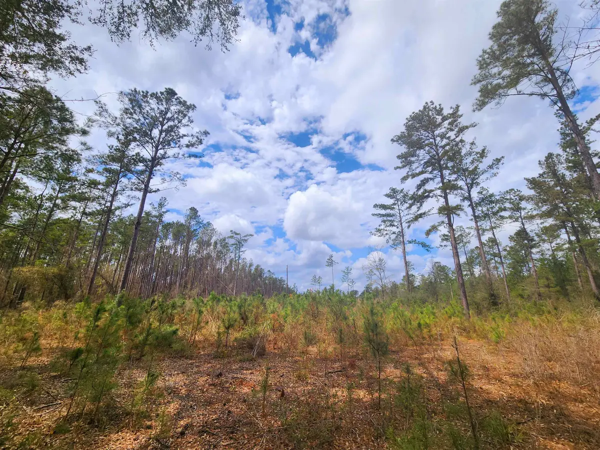 Lot 56 SW Paradise Way, Greenville, FL 32331 - Image #1