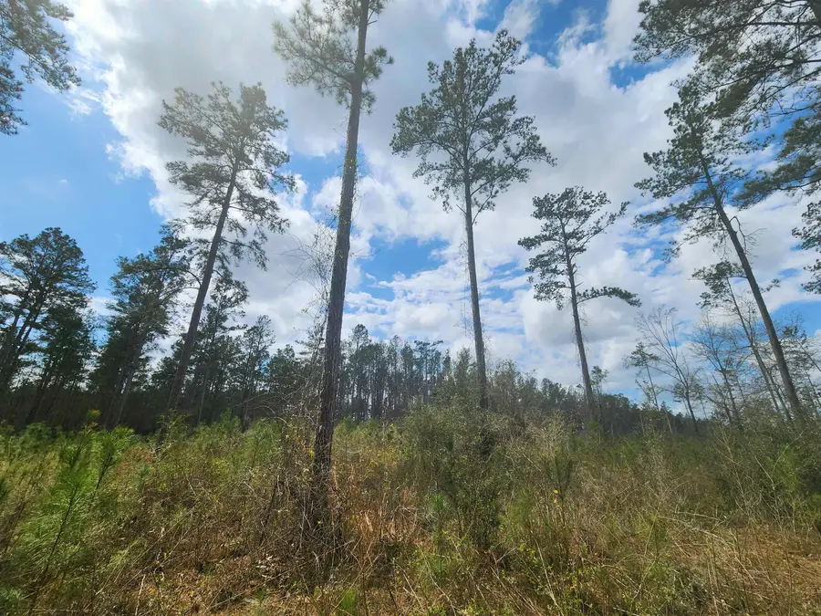Lot 56 SW Paradise Way, Greenville, FL 32331 - Image #2