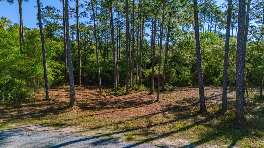 3493 Firefly Circle, Saint Teresa, FL 32358 - Image #3