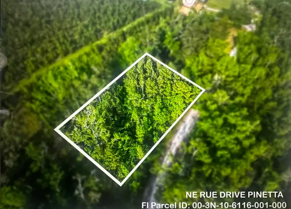 000 NE Rue Drive, Pinetta, FL 32350