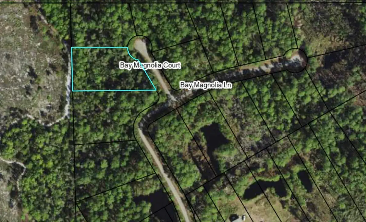 146 Bay Magnolia Court, Carrabelle, FL 32322 - Image #1