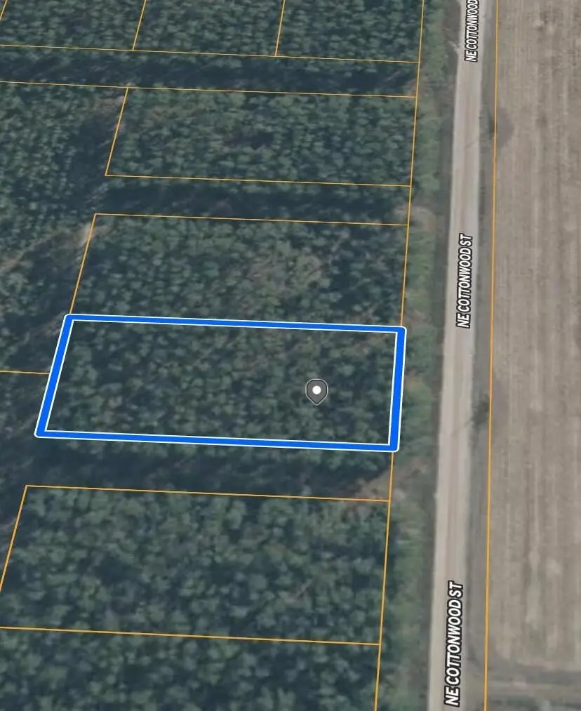 0 NE Cottonwood Street, Lee, FL 32059 - Image #2