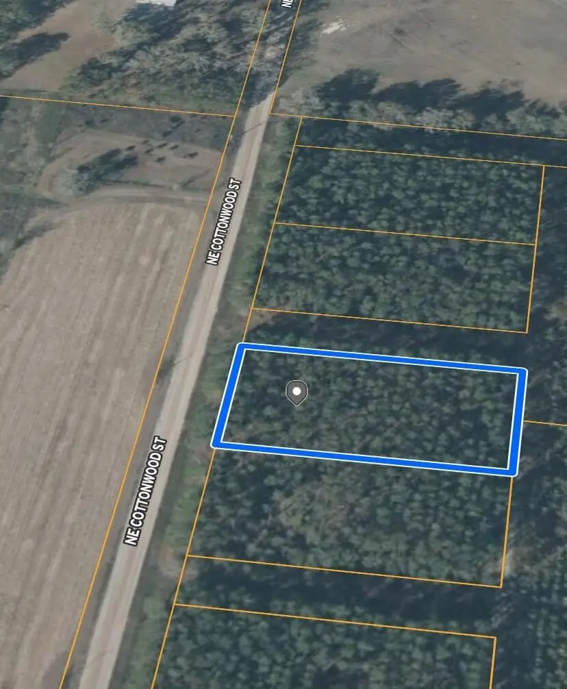 0 NE Cottonwood Street, Lee, FL 32059 - Image #3