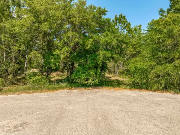 Simmons Court, Ochlockonee Bay, FL 32346