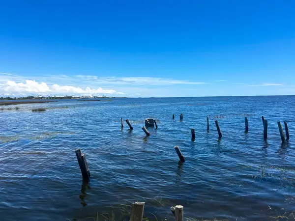 1836 Ezell Beach Road, Keaton Beach, FL 32348