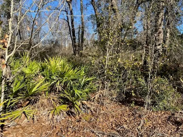 TBD SW Open Sands Loop, Greenville, FL 32331 - Image #2