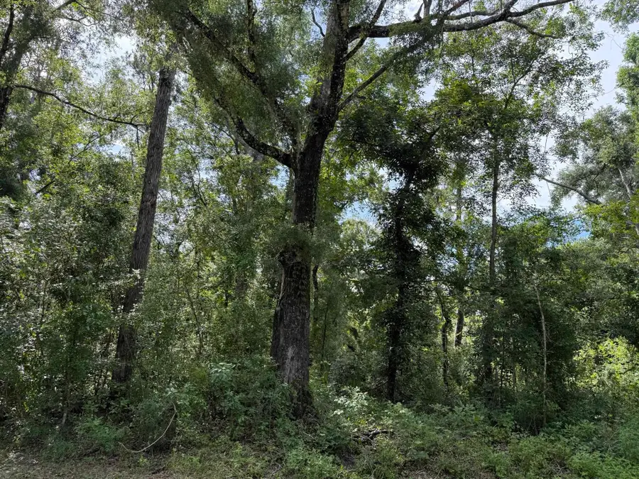 Running Springs Drive, Live Oak, FL 32060 - Image #2