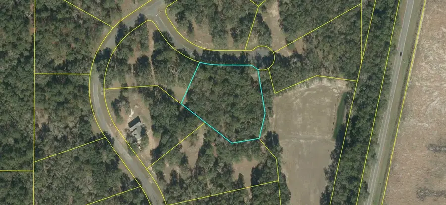 Lot 5 NE Briarwood Way, Pinetta, FL 32350 - Image #3
