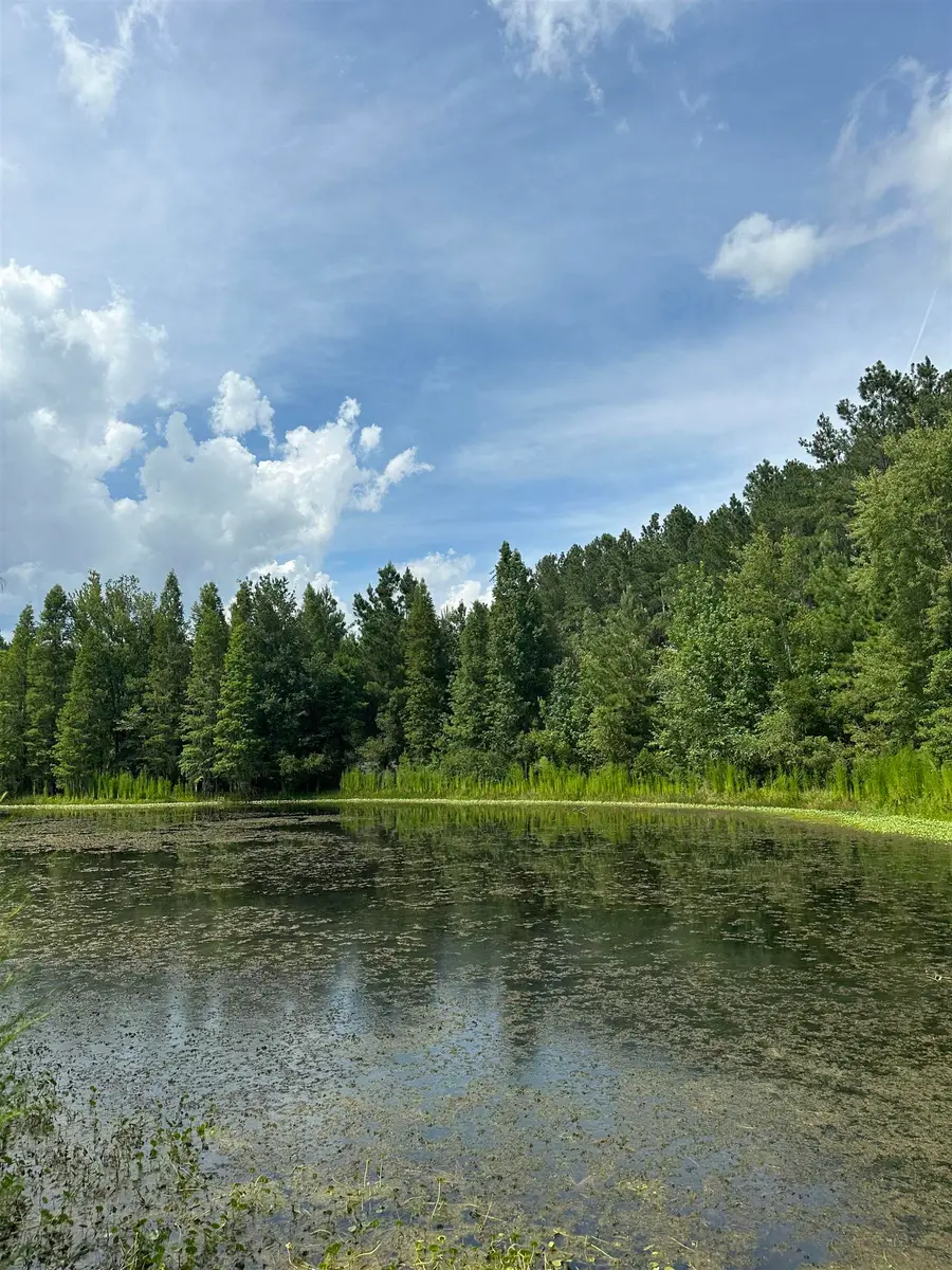 TBD SE 78th Place, White Springs, FL 32096 - Image #3