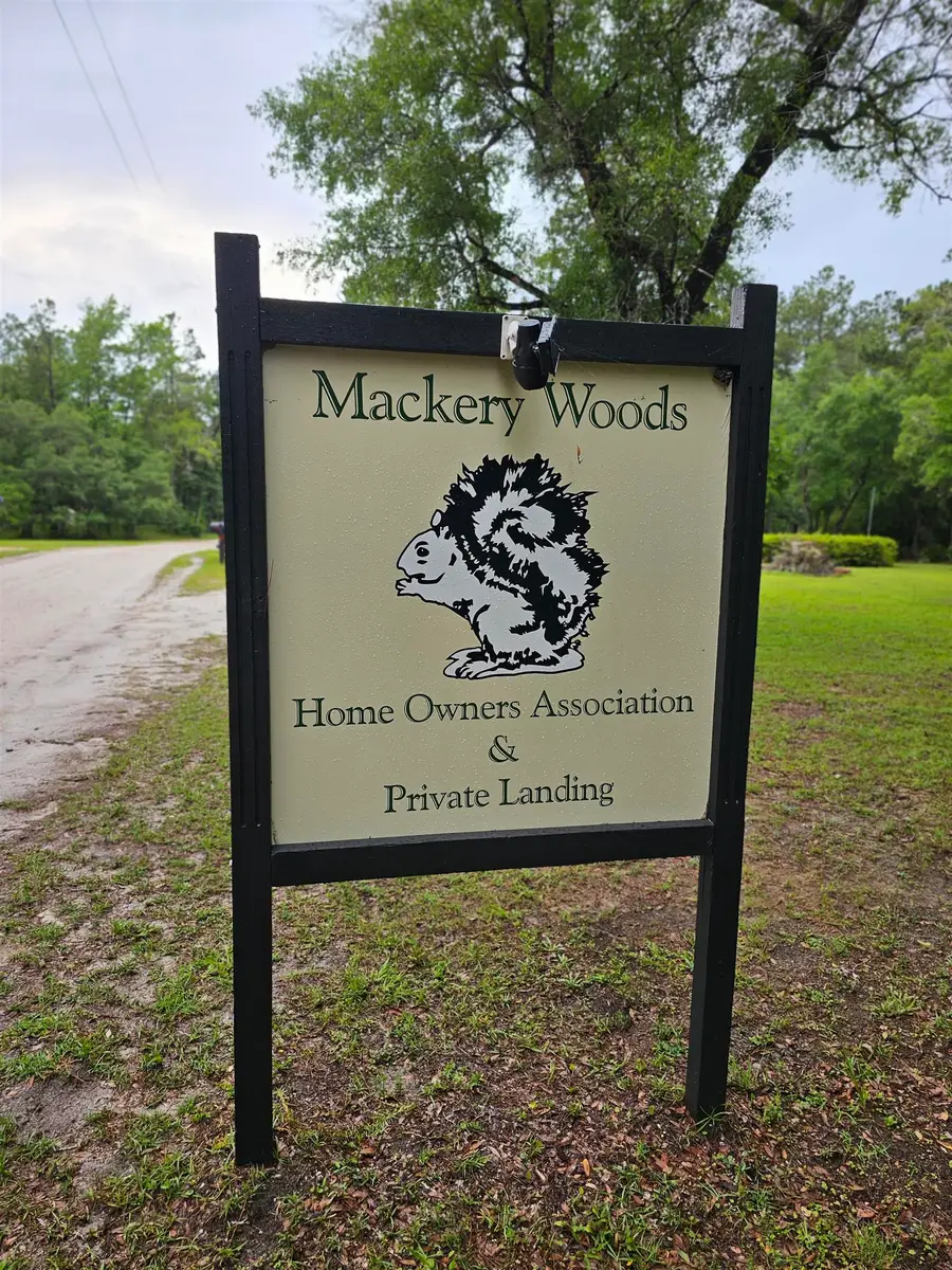 Pamela Place, Sopchoppy, FL 32358 - Image #3