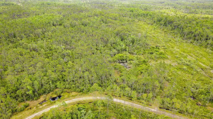 Tract 82 Circle Block Loop, Perry, FL 32348 - Image #2