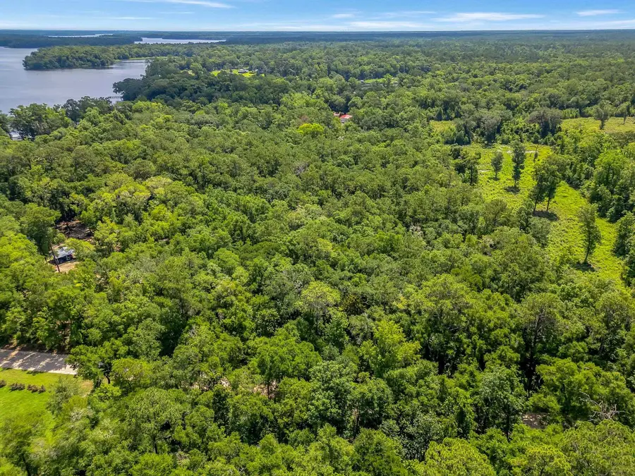 XX Parramore Shores Road, Tallahassee, FL 32310 - Image #2