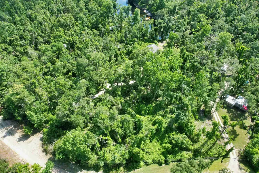 NE River Ridge Way, Lee, FL 32059 - Image #2