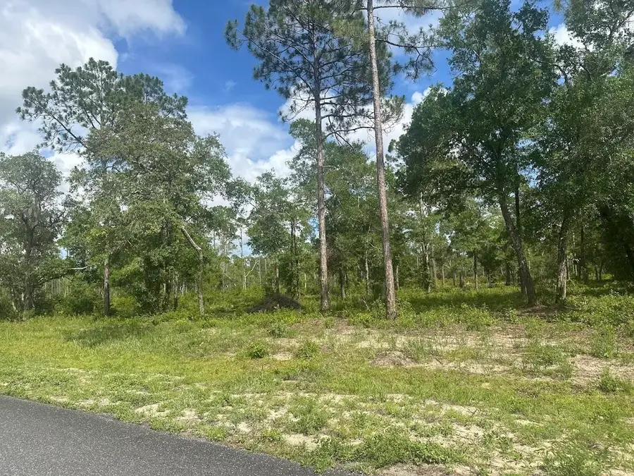 xx Ramsey Way, Panacea, FL 32346 - Image #2