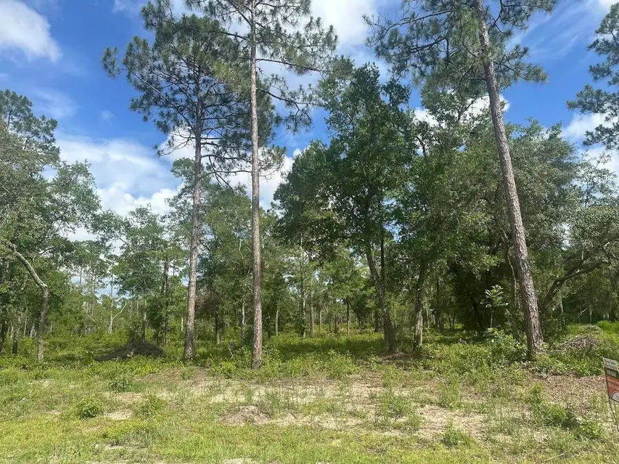 xx Ramsey Way, Panacea, FL 32346 - Image #3