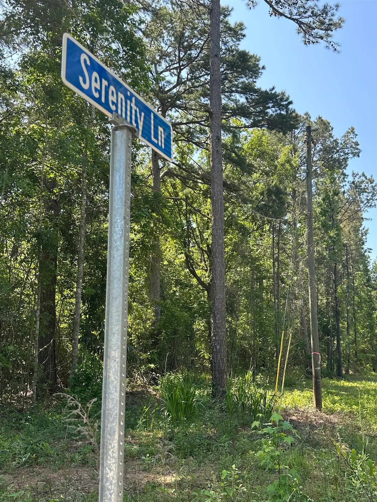 xxx Serenity Lane, Quincy, FL 32351 - Image #1