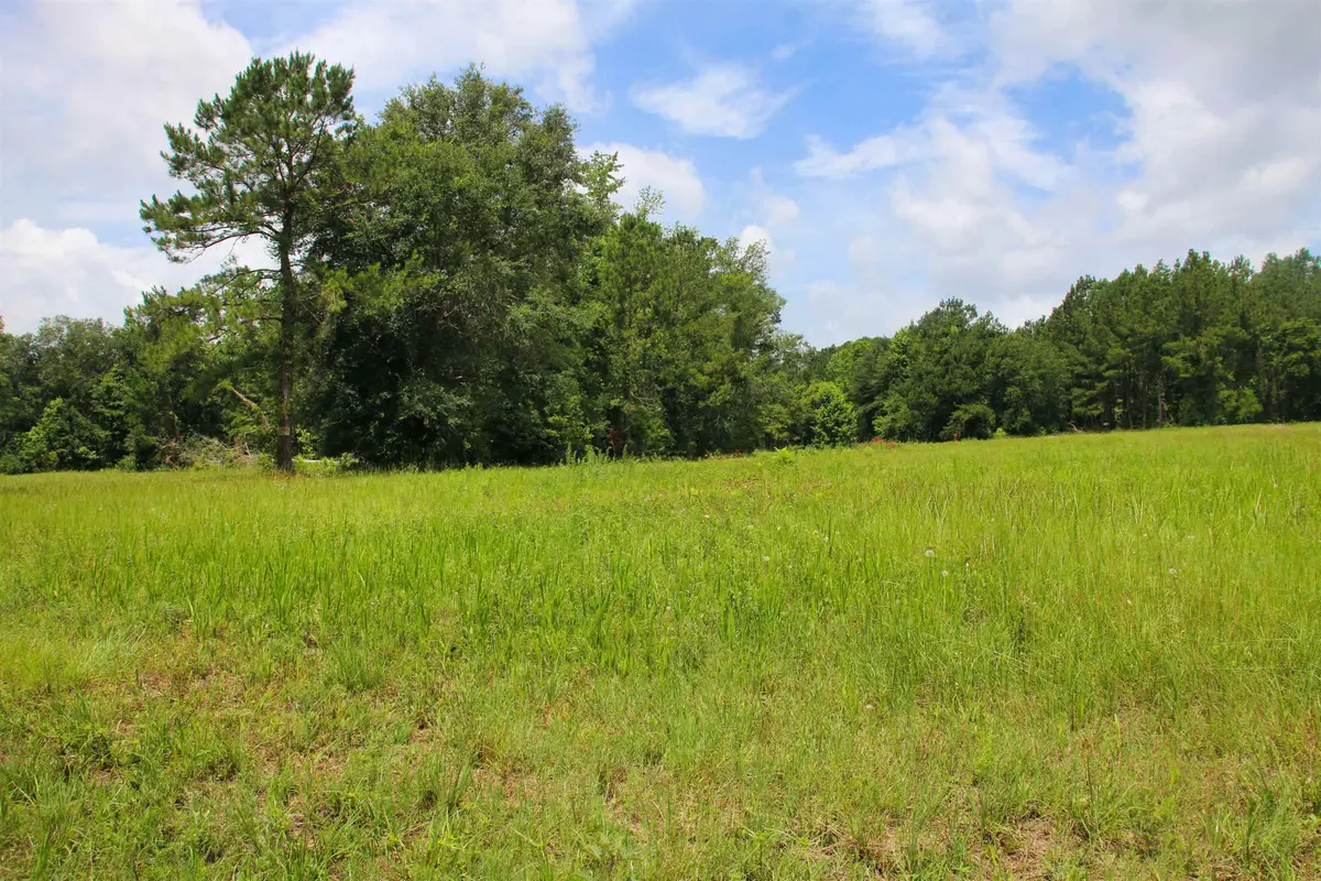 983 Mays Road, Lamont, FL 32336 - Image #1