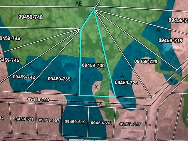 LOT 127 NE Oak Pond Circle, Steinhatchee, FL 32359 - Image #1