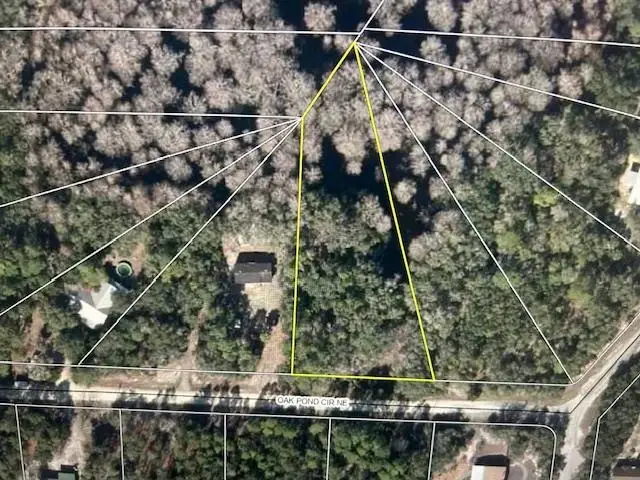 LOT 127 NE Oak Pond Circle, Steinhatchee, FL 32359 - Image #2