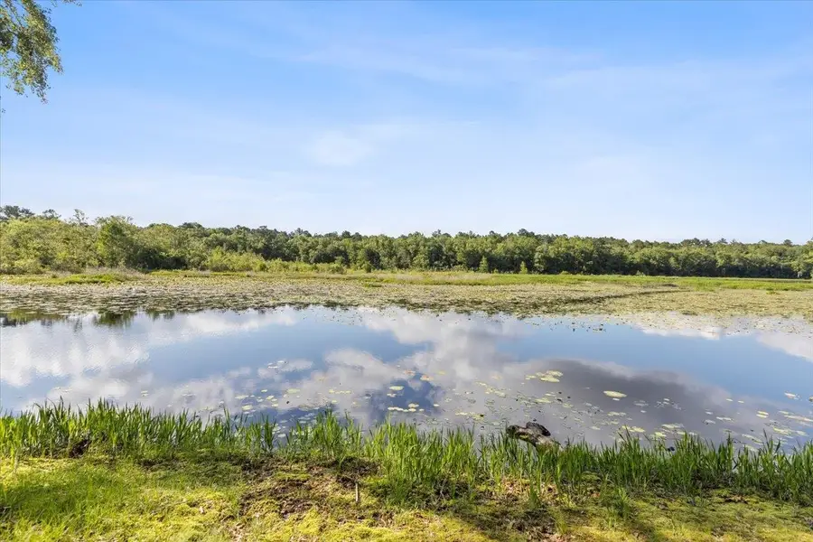 x Gould Road, Quincy, FL 32351 - Image #2