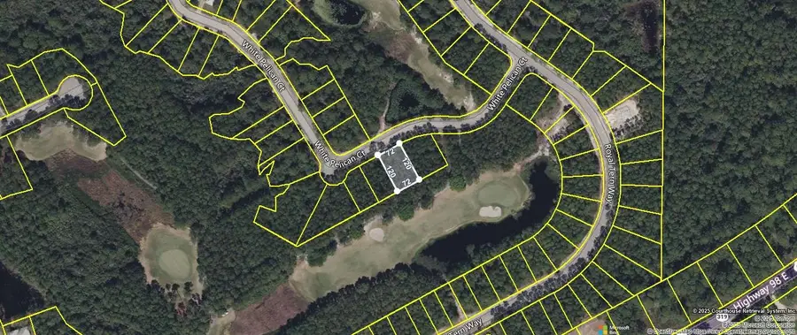 118 White Pelican Way, Carrabelle, FL 32322 - Image #3