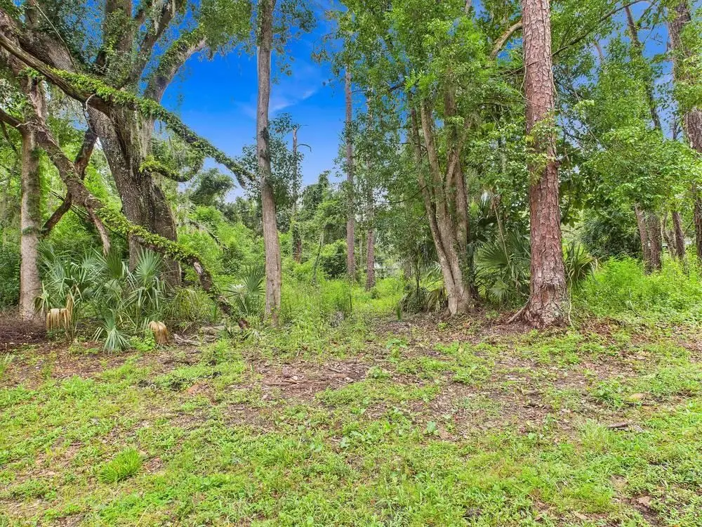 TBD N Veterans Drive, Perry, FL 32348 - Image #1