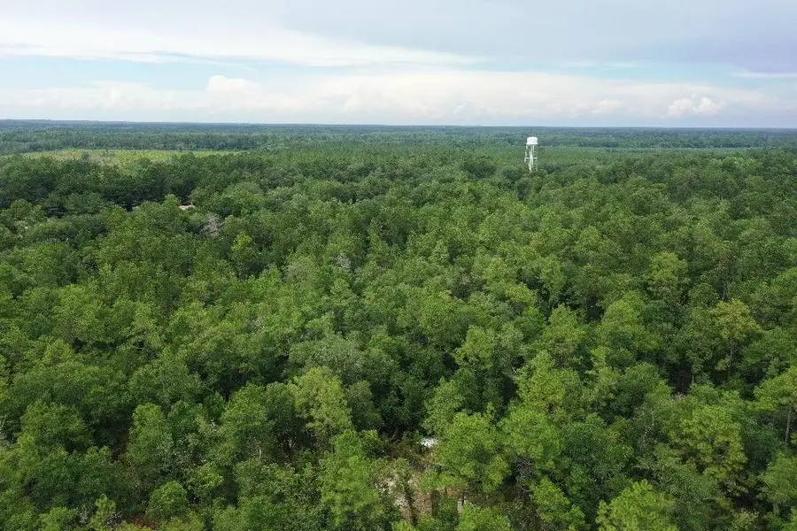 45 Old Federal Road, Quincy, FL 32351 - Image #3