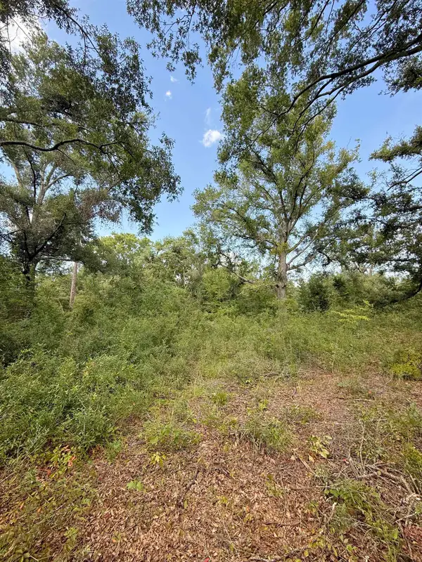 00000 68th Street, Live Oak, FL 32060