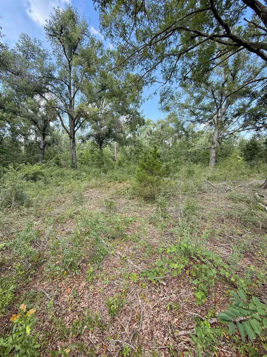 00000 68th Street, Live Oak, FL 32060 - Image #2