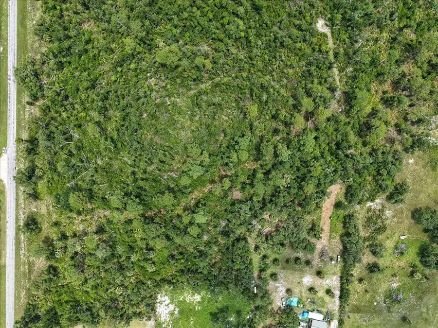 0 Spring Warrior Road, Perry South, FL 32348 - Image #3