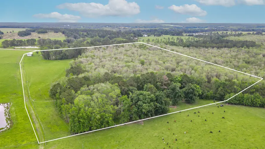 TBD NW Hawks Ave Avenue, Greenville, FL 32331 - Image #2