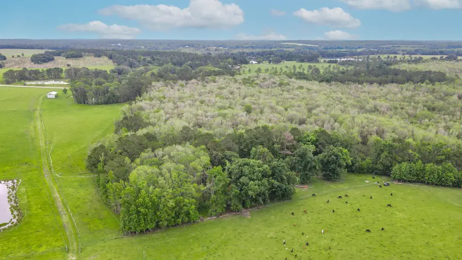 TBD NW Hawks Ave Avenue, Greenville, FL 32331 - Image #3