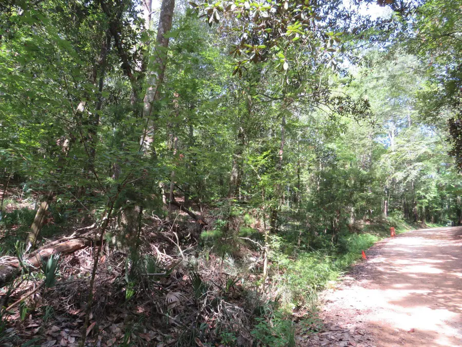 XXX Tallavana Trail, Havana, FL 32333 - Image #3