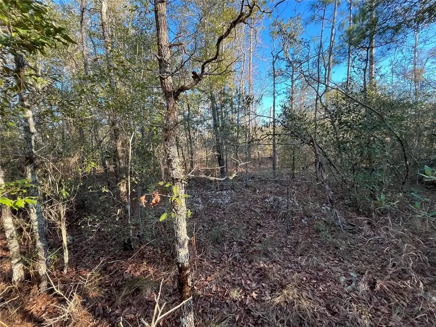 TBD Goreville Avenue, Alford, FL 32420 - Image #2