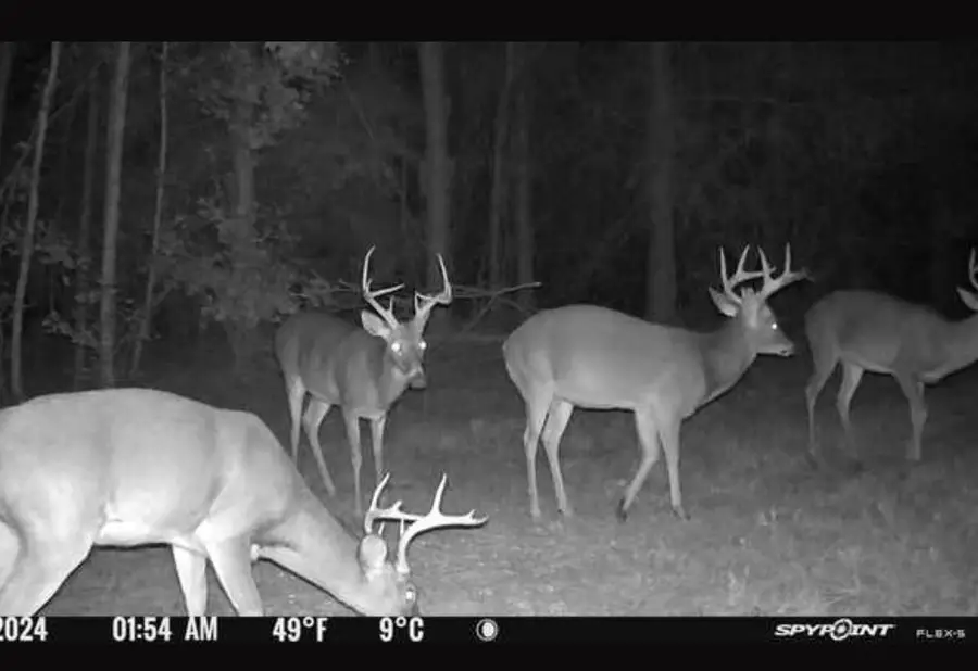 XXX Greensboro Highway, Quincy, FL 32351 - Image #3